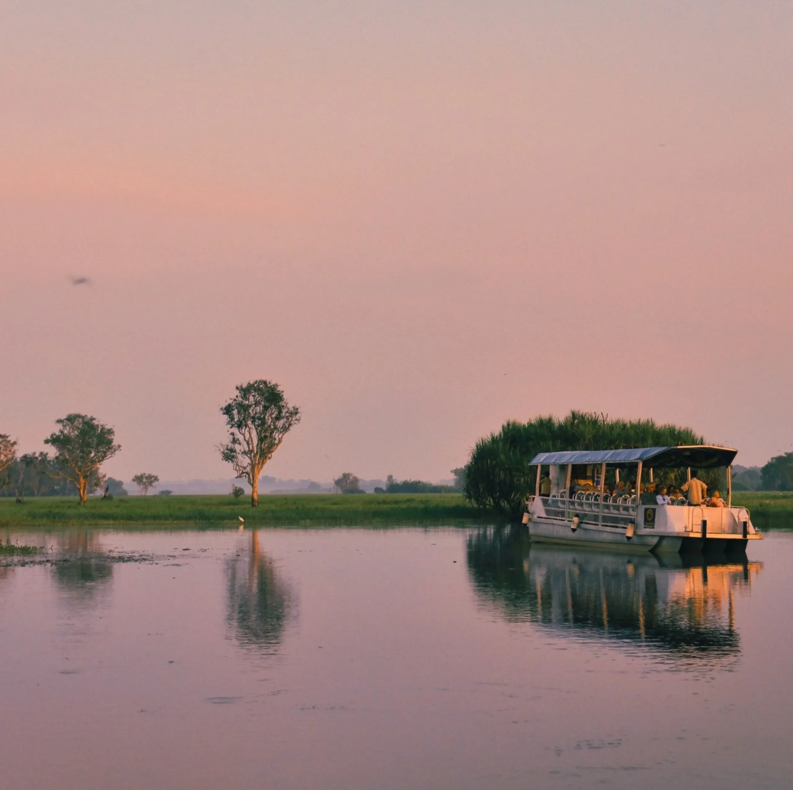 Boat Cruise, Kakadu