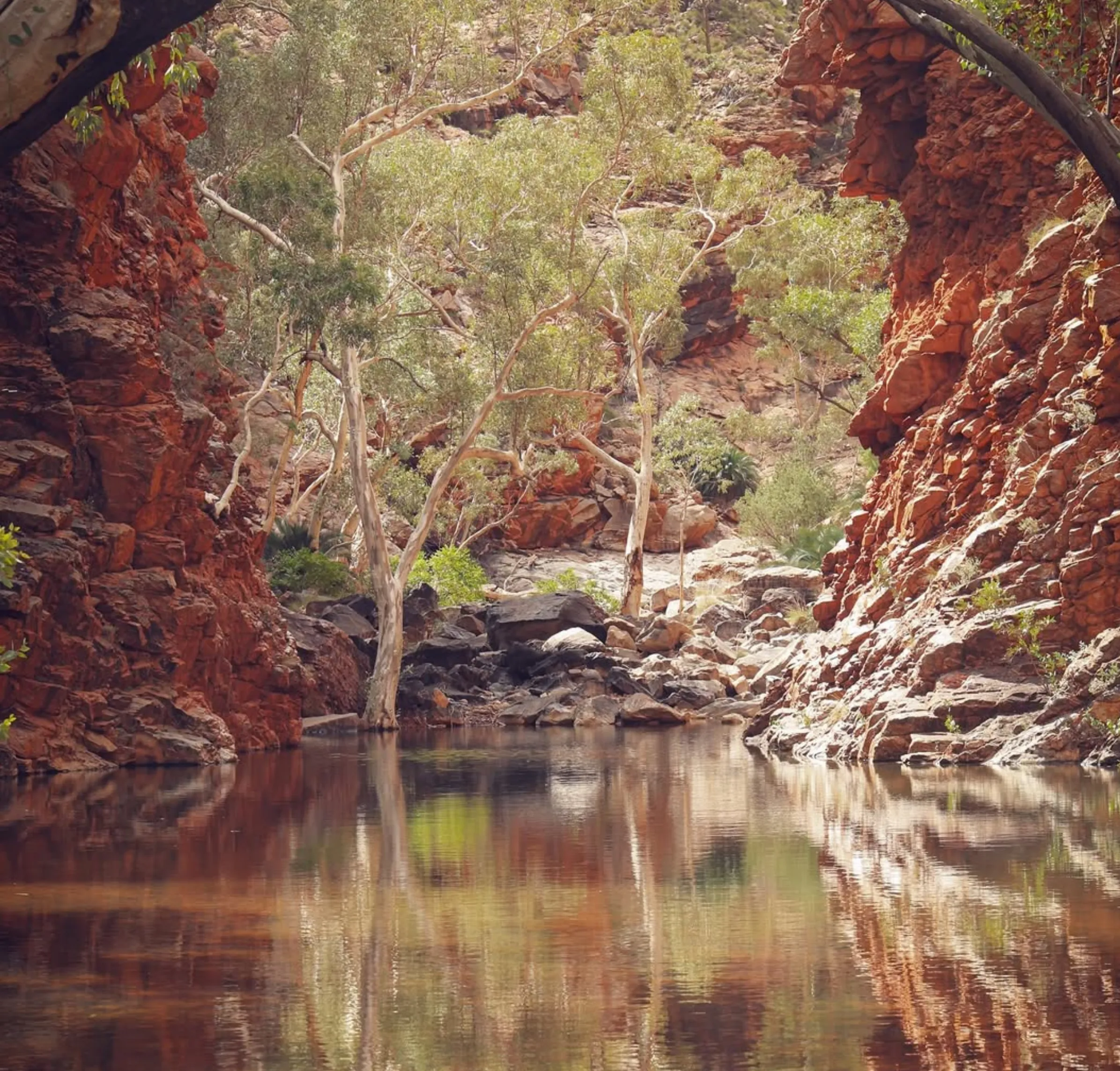 rugged scenery