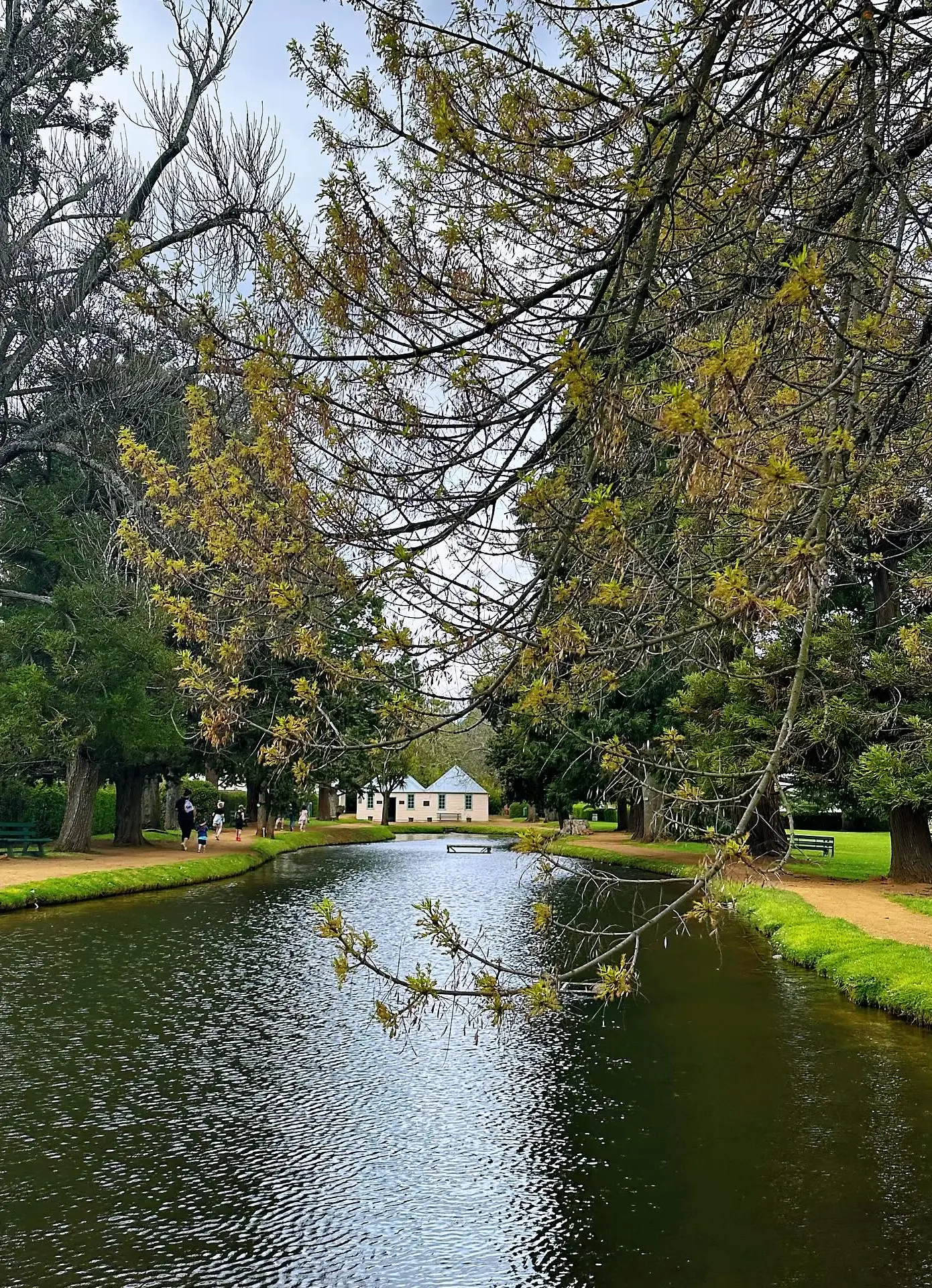 autumn colours in tasmania