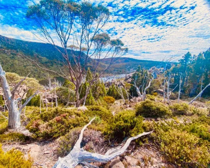 autumn colours in tasmania march