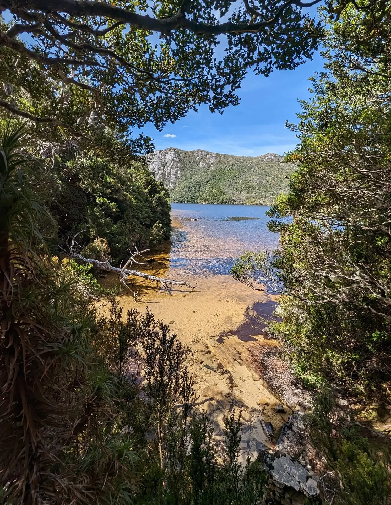 autumn foliage in tasmania