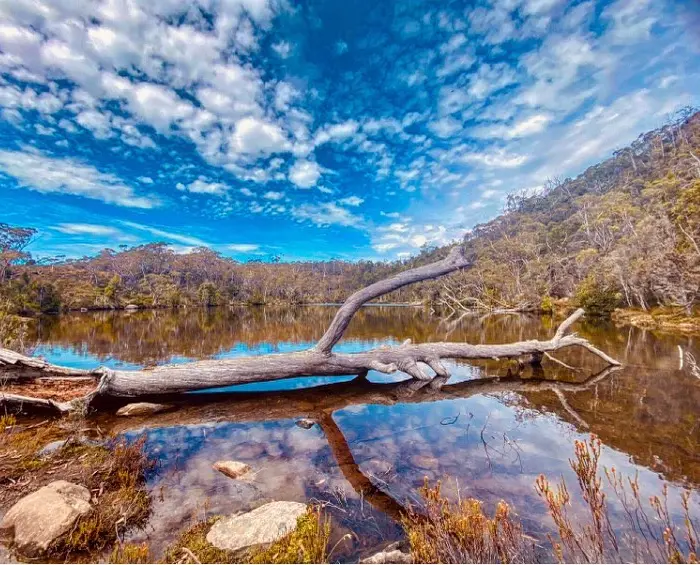 autumn foliage in tasmania