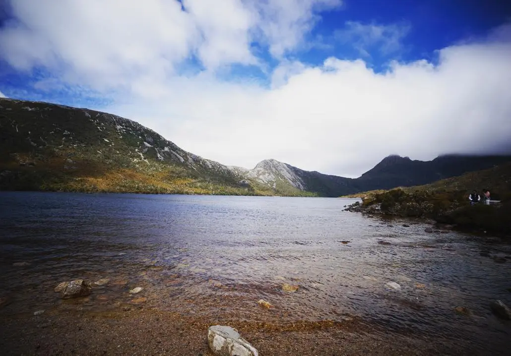 tasmania autumn wildlife spotting