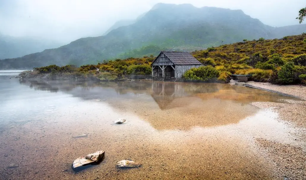 tasmania autumn wildlife viewing
