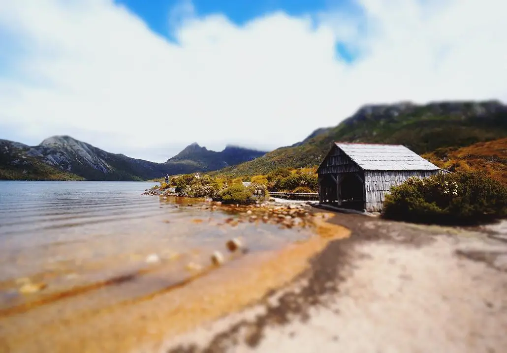 tasmania autumn wildlife viewing