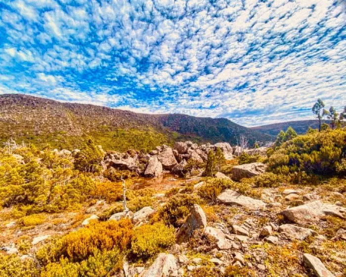 tasmania in autumn colors